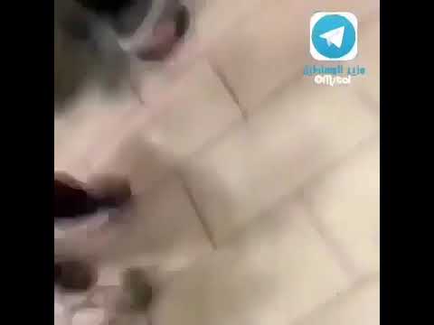 يلعن أم الغباء