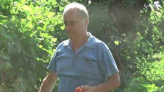 Lorto Sullalbero Il Video