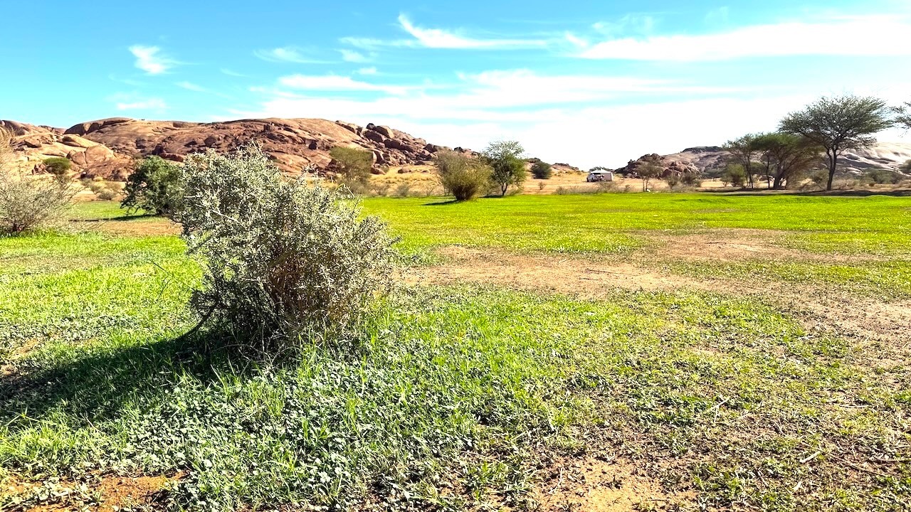 رحلة ربيع محافظة السليمي بمنطقة حايل عام  ١٤٤٧هـ