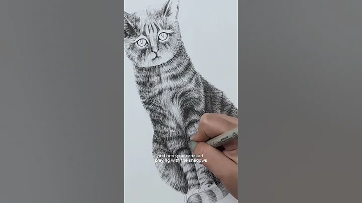 How to draw realistic cat fur with ink pens! #drawingtutorial #howtodraw #ink #fineliner #realistic