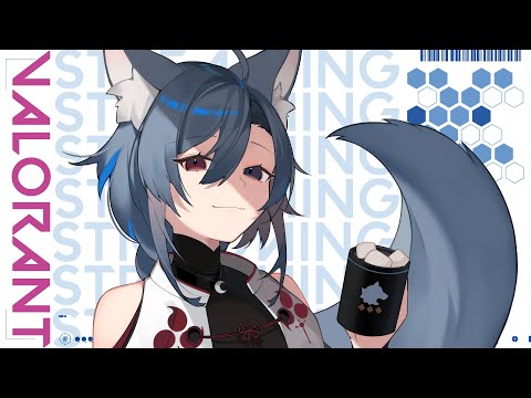 | VALORANT | ブロンズ２【Vtuber】