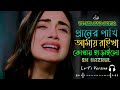 প্রাণের পাখি আমায় রাইখা কোথায় হারাইলো । Praner pakhi Amay raikha kothay hariyali । #mr sad sofiq