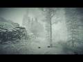 I've Finally Slept Deeper than Ever: Spatial Snowstorm Sounds & Binaural Wind. ASMR Sleep Atmosphere