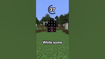 Guess the Minecraft block in 60 seconds 12