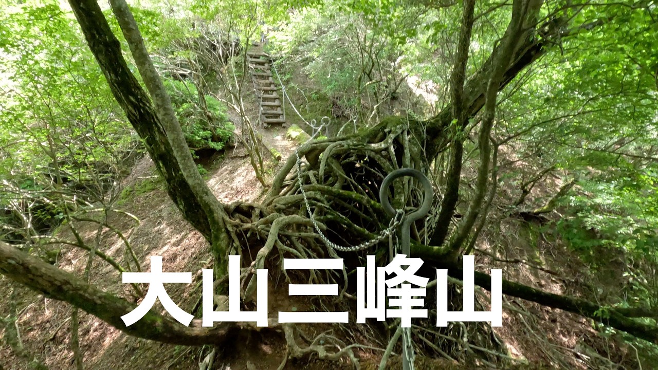 大山三峰山 クサリ場・ハシゴ・木橋・痩せ尾根 Mt. Mitsumine - steep