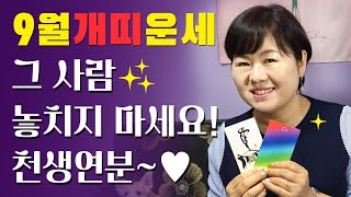 [타로카드] 9월 개띠 종합운세  연애/직장/사업/재물/행운컬러