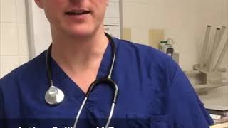 What are best sources of COVID-19 info online
