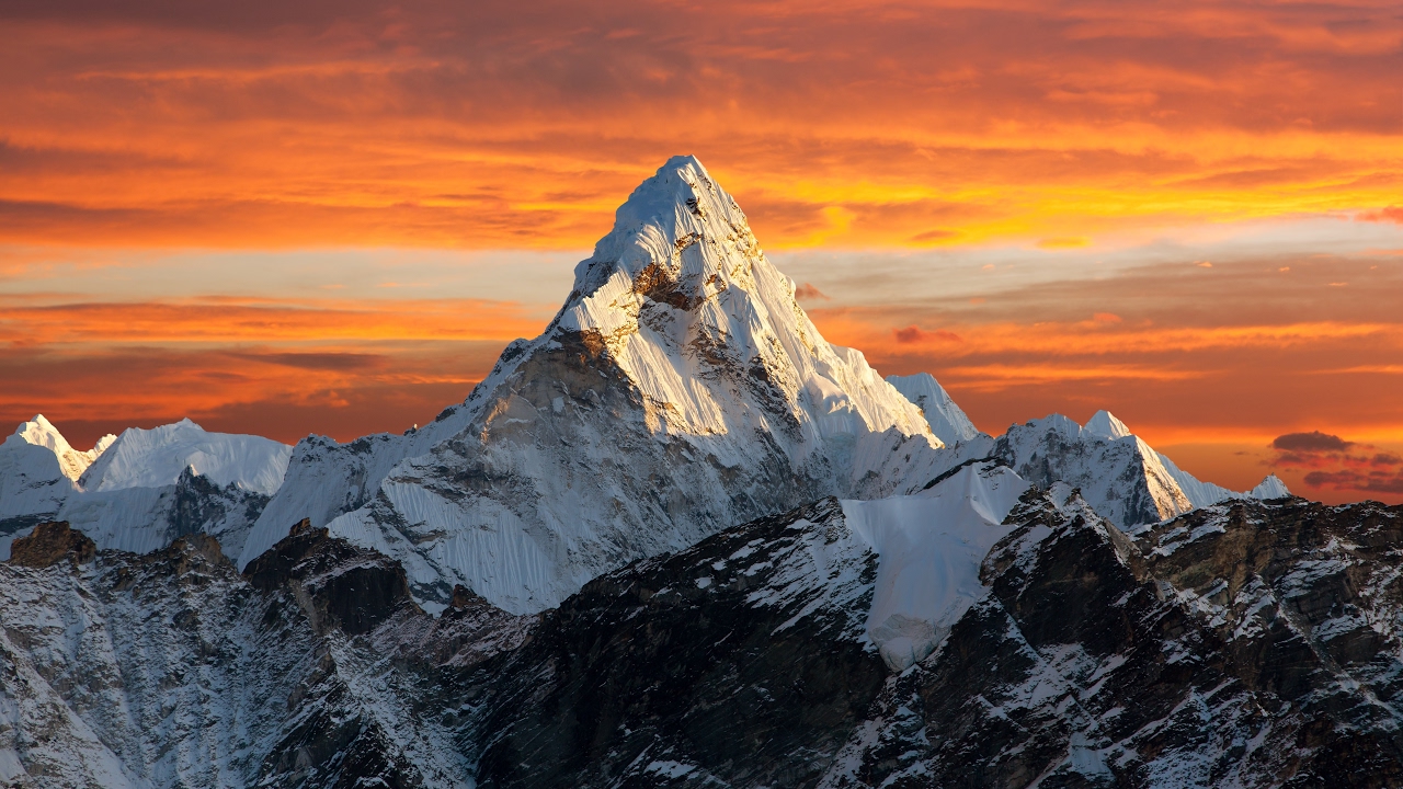 Харинама тур 2019