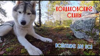 видео: Исследуем Кондаковские скалы. Часть 1 картинка: Исследуем Кондаковские скалы. Часть 1