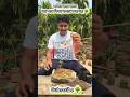 বাগান করা মানে বড় গাছ কিনে বাগান করা নয়।🌳🍂 #youtubeshorts #gardening #ytshorts #shortvideo #shorts