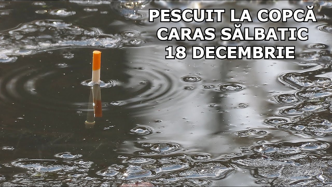 PRIMUL Pescuit LA COPCĂ Decembrie 2025 CARAS SALBATIC La Balta Înghețată Din Pădure