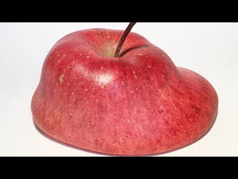 『Bad Apple!!』を歌う男