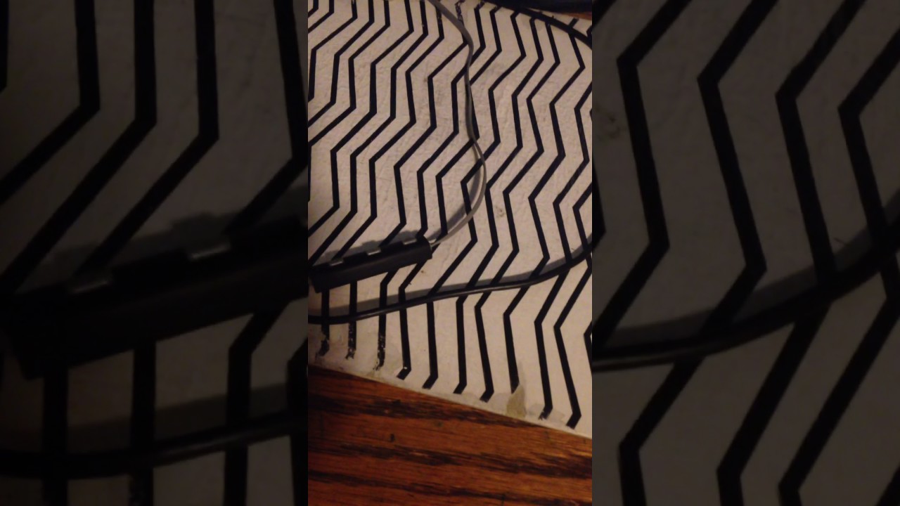 Slither.io vs wormax.io. Who will win?