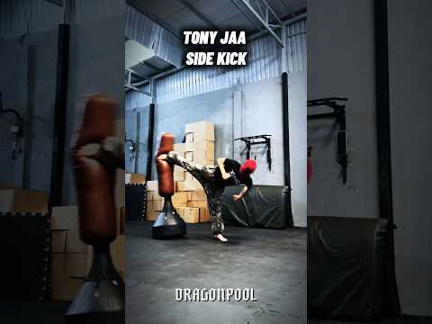 Side kick #tutorial #youtubeshorts #shortsvideo #shortvideo #shorts #usa #india #mma #ytshorts #yt