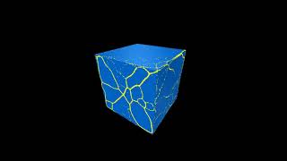 Clever Mold simulation | Physarum