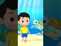 Turtle for Kids 🐢 | Learn Sea Animals | Animal Names for Toddlers