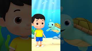 Turtle for Kids 🐢 | Learn Sea Animals | Animal Names for Toddlers