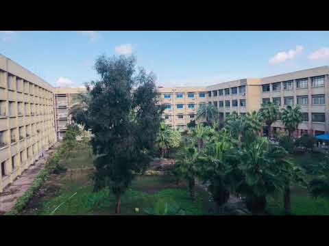 فيهم ربع ضارب دولا مجانين