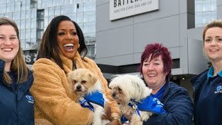Hammond to replace O'Grady on For the Love of Dogs