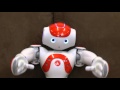 Humanoidly Speaking - Learning about the world and language with a humanoid friendly robot