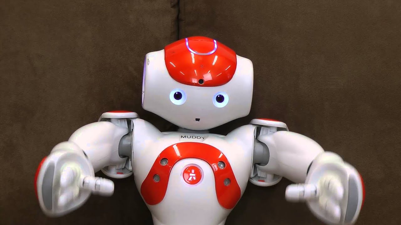 Speaking - Learning about the world and language with a humanoid friendly robot YouTube