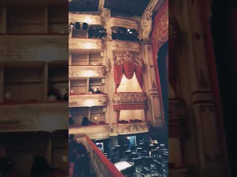 Video: Michailovskio teatras, Sankt Peterburgas: istorija, adresas, ekskursijos, nuotraukos