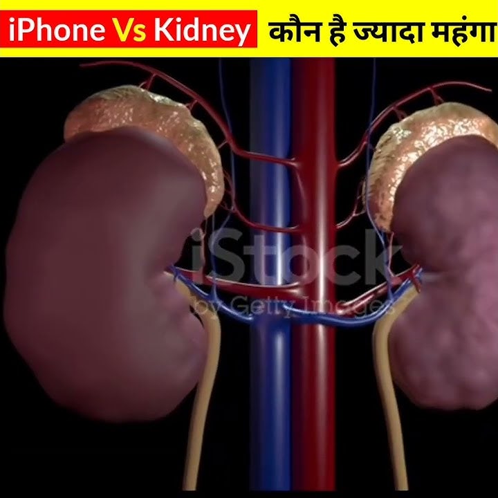 भारत में kidney की Price कितनी है ? / iPhone Vs Kidney / #shorts