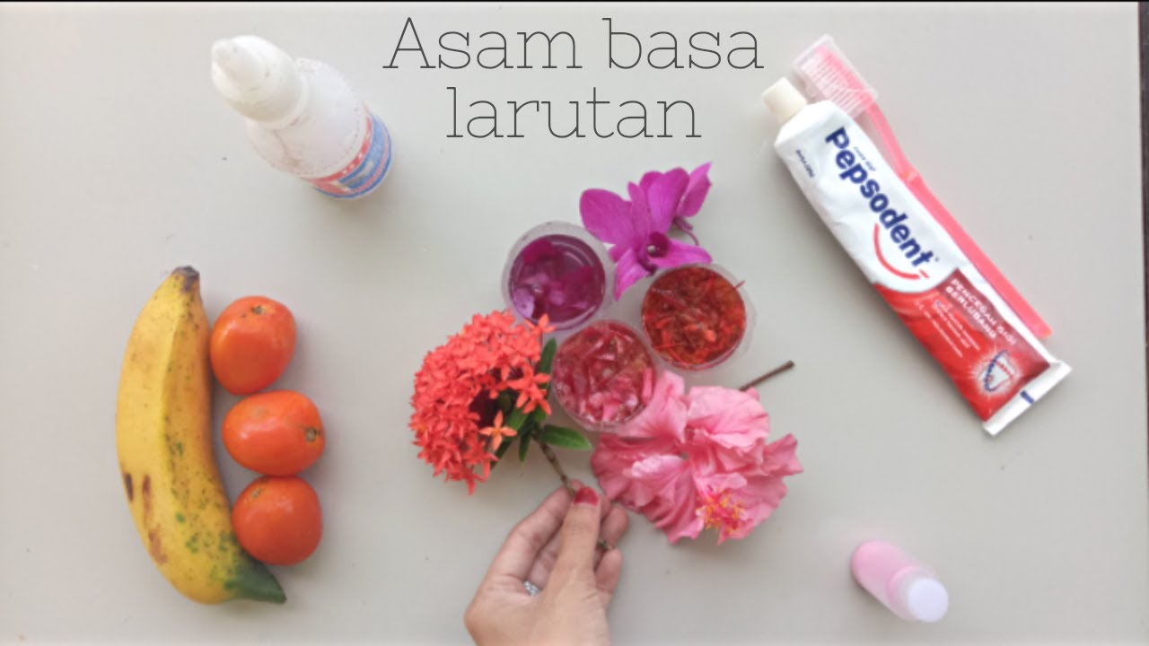 DIY Indikator  Asam  Basa  Alami dari  Bunga  Asoka Anggrek 