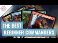 The Best Commanders for Beginners | EDH | New Commander Players | Magic the Gathering | Commander