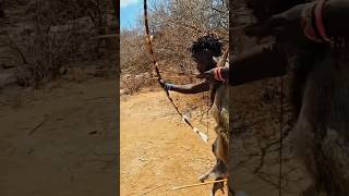 A Sudden Call In The Bush Hunters Track A Wild Forest Bird Tribal Life