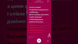 DZIDZIO, Ivan Popovich - Василина