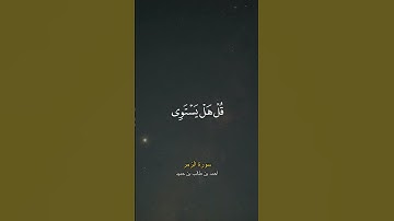 تلاوة مؤثرة من سورة الزمر بصوت أحمد بن طالب بن حميد | قرآن كريم