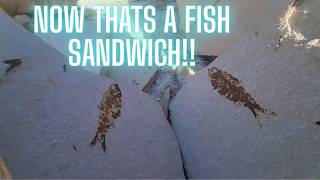 Splitting 50 Million-Year-Old Fish Fossils!