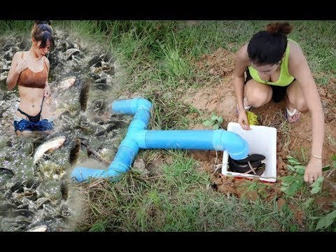 Smart Girl Make Fish Trap Using PVC Pipes And Plastic Water To Catch A ...