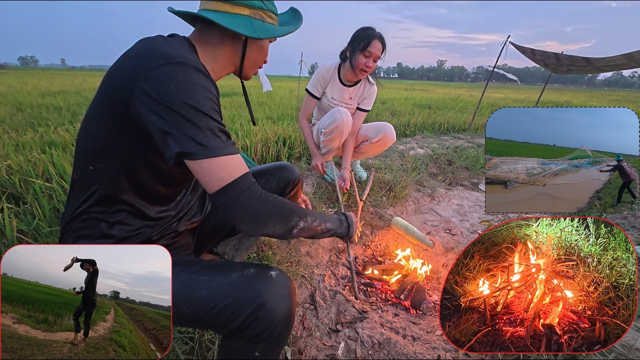 Waiting Until Night, Grilling Corn & Fish​​/ មួយថ្ងៃពេញនៅស្រែ | ចាំស្រូវដល់យប់ អាំងពោត និងអាំងត្រី 🌾