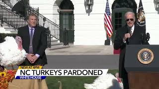 Turkeys pardoned by Biden this year will retire at NC State