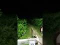 Andando na rua a gente se depara com muitas coisas... #aovivo #shorts #wild #horror