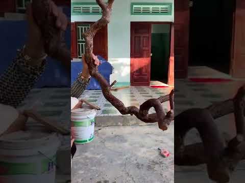 Video M 652.. gl ace cây khế rừng 450k lh 0783494527 Huê - youtube