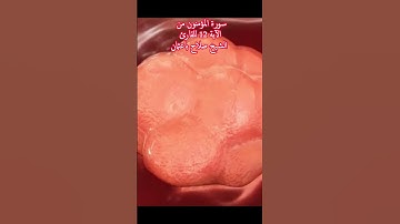 سورة المؤمنون من الآية 12 للقارئ الشيخ صلاح باعثمان