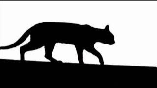 THE VENTURES - Let there be drums