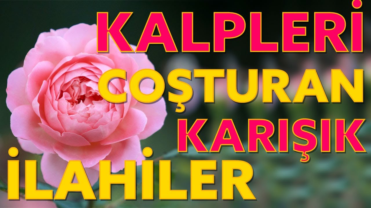 COŞKULU ZİKİRLİ İLAHİLER | Doymadım Can Ahmede (s.a.v)