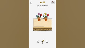 Brain Out Level 89 Spot the differences