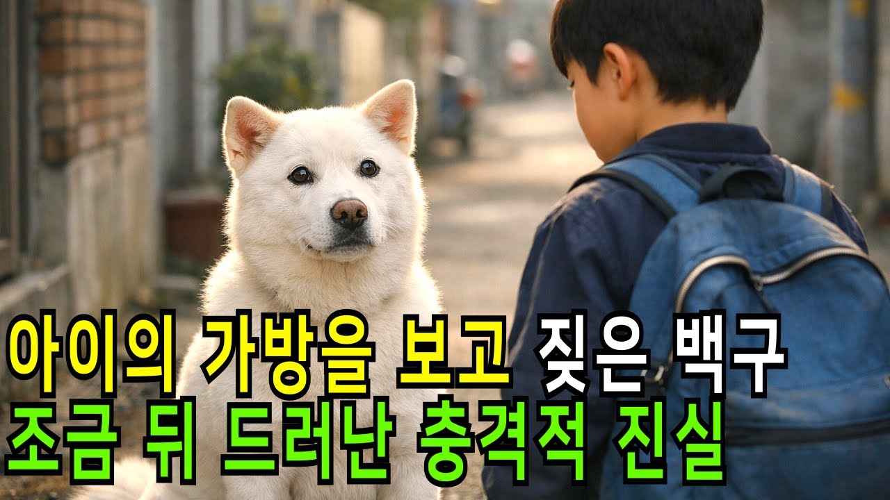 아이의 가방을 보고 짖은 백구.. 조금 뒤 드러난 충격적 진실