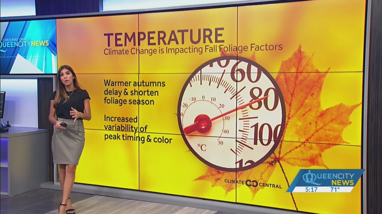 First fall cold snap will start to trigger brighter fall color in the ...