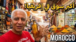 A Market With Everything You Could Want | Morocco screenshot 3