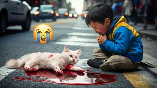 Cute Cat Died In Accident😭😭😱