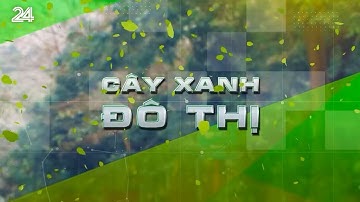 Tiêu điểm: Cây xanh đô thị | VTV24