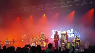 The Yussef Dayes Experience (feat. Shabaka Hutchings) - Raisins under the sun (Live)
