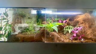 Kages PVC bioactive ball python enclosure Two Ball Pythons Get New Enclosures Kages Ball Python Pvc Set Ups