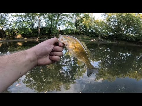 September BASS fishing Great Miami River!